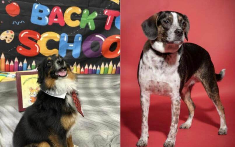 A Career of Dedication and Resilience